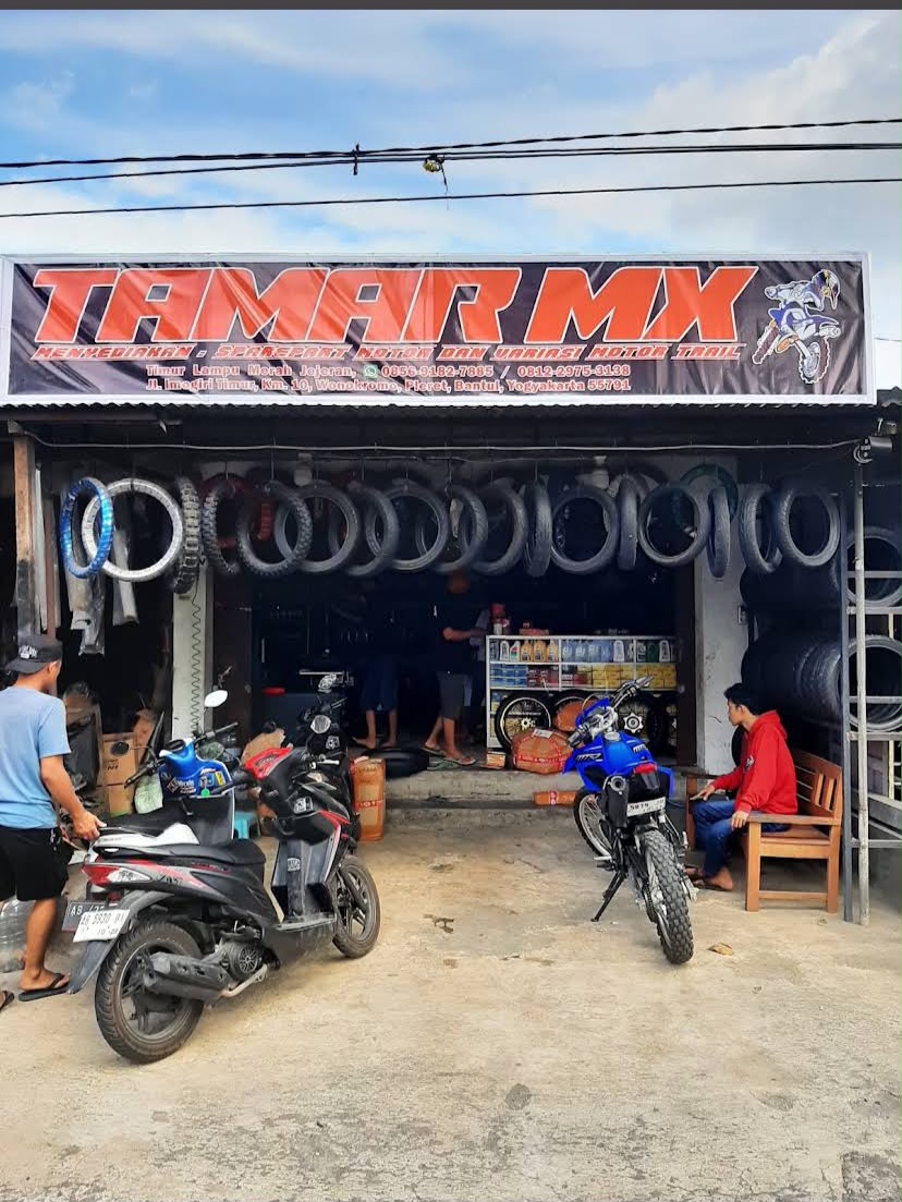 Tamar MX thumbnail 4
